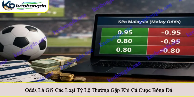 Odds là gì